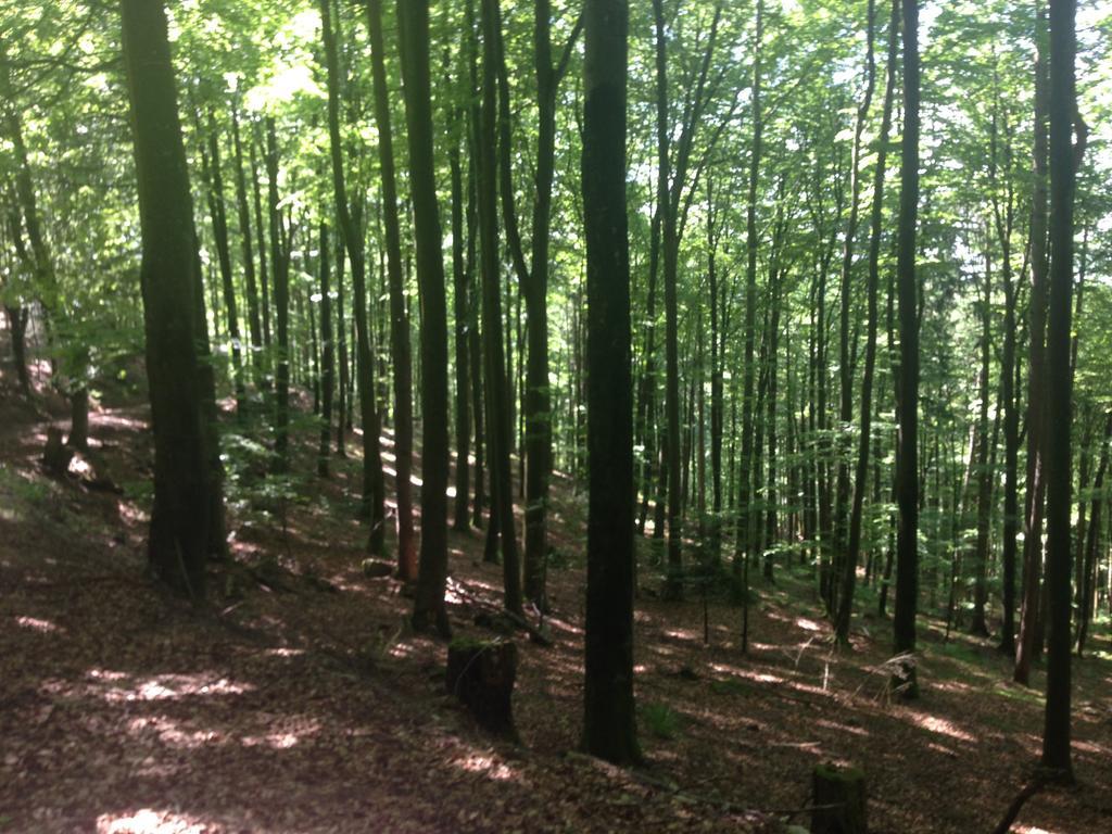 Luxus Appartement Schwarzwald Bei Freiburg 4 Schlafzimmer Sauna Sölden Екстериор снимка